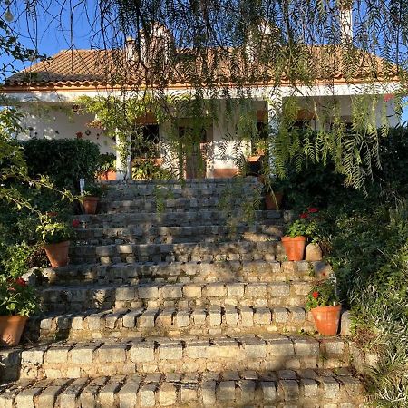Casa Rural "El Carrasca" El Carrascalejo Kültér fotó