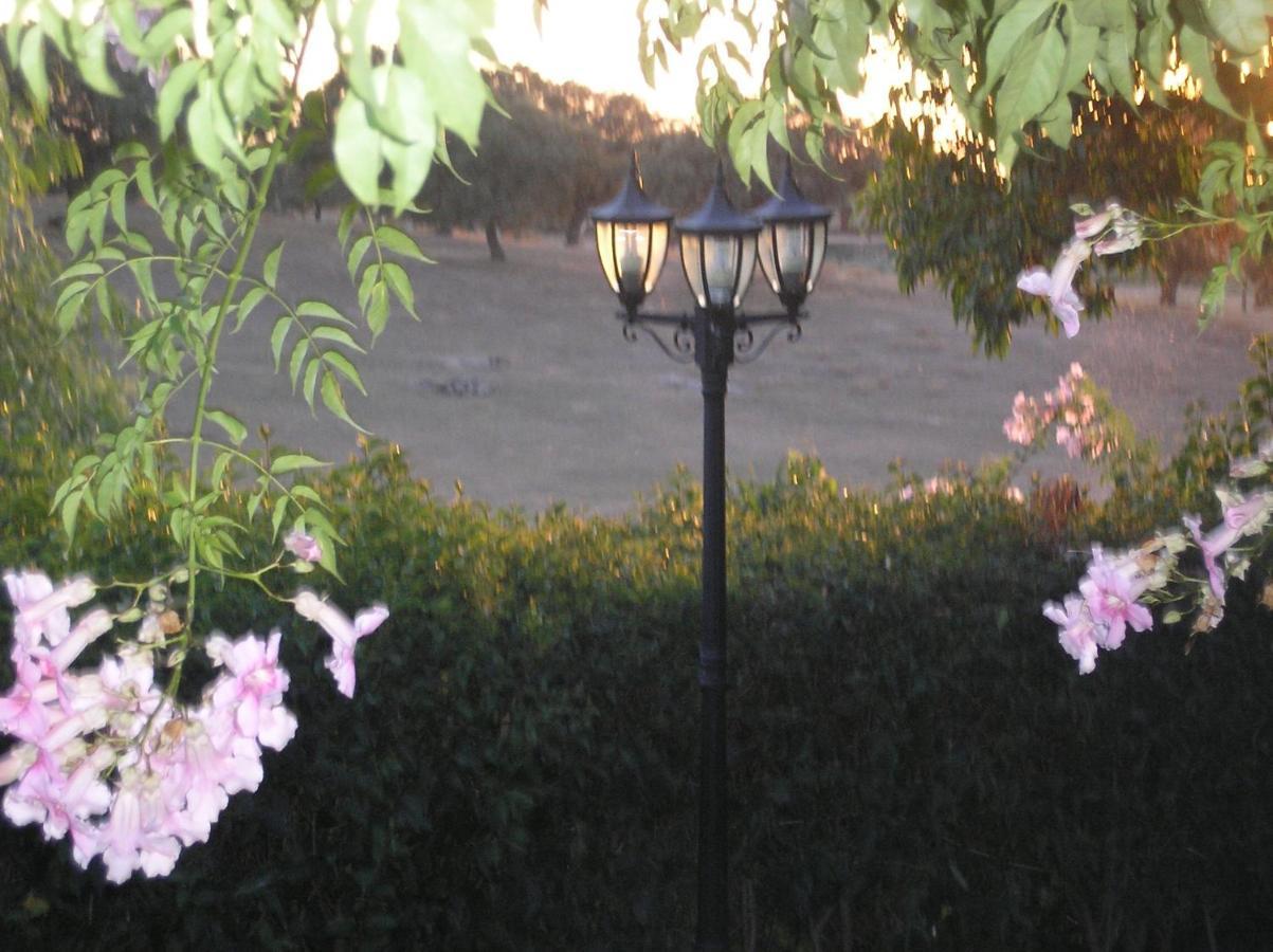 Casa Rural "El Carrasca" El Carrascalejo Kültér fotó