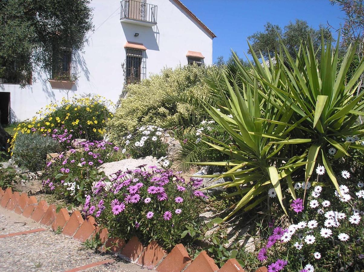 Casa Rural "El Carrasca" El Carrascalejo Kültér fotó