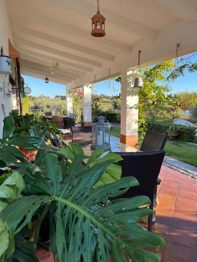 Casa Rural "El Carrasca" El Carrascalejo Kültér fotó