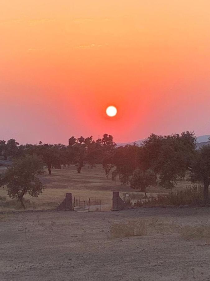 Casa Rural "El Carrasca" El Carrascalejo Kültér fotó